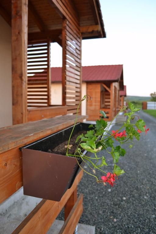 Casute De Vacanta - Complex Ben Villa Ocna Sibiului Exterior photo